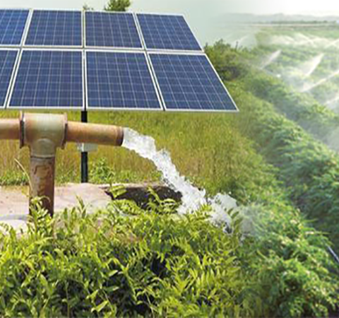 Solar-powered-Irrigation